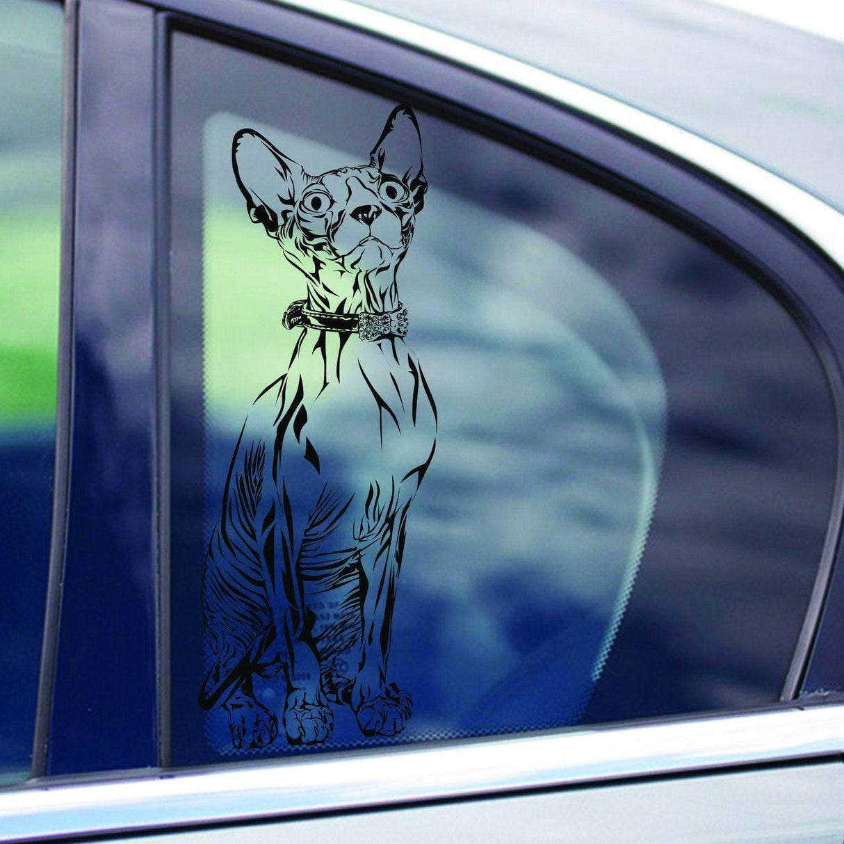 Custom vinyl decal of a Sphynx cat on a car window, perfect for pet lovers and personalized decor.