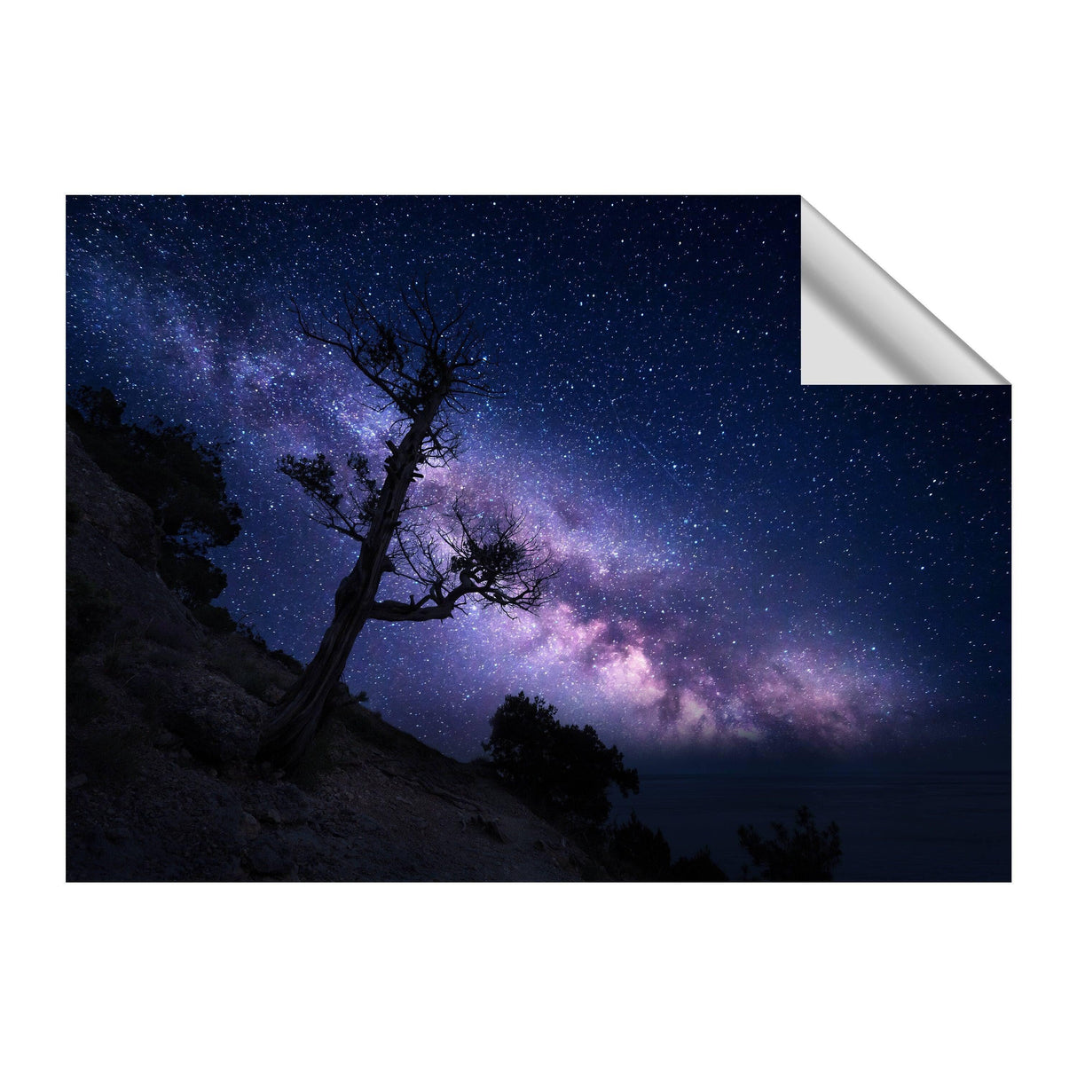 Stunning galaxy wall art featuring a tree silhouette against a star-filled night sky, perfect for cosmic-themed decor.