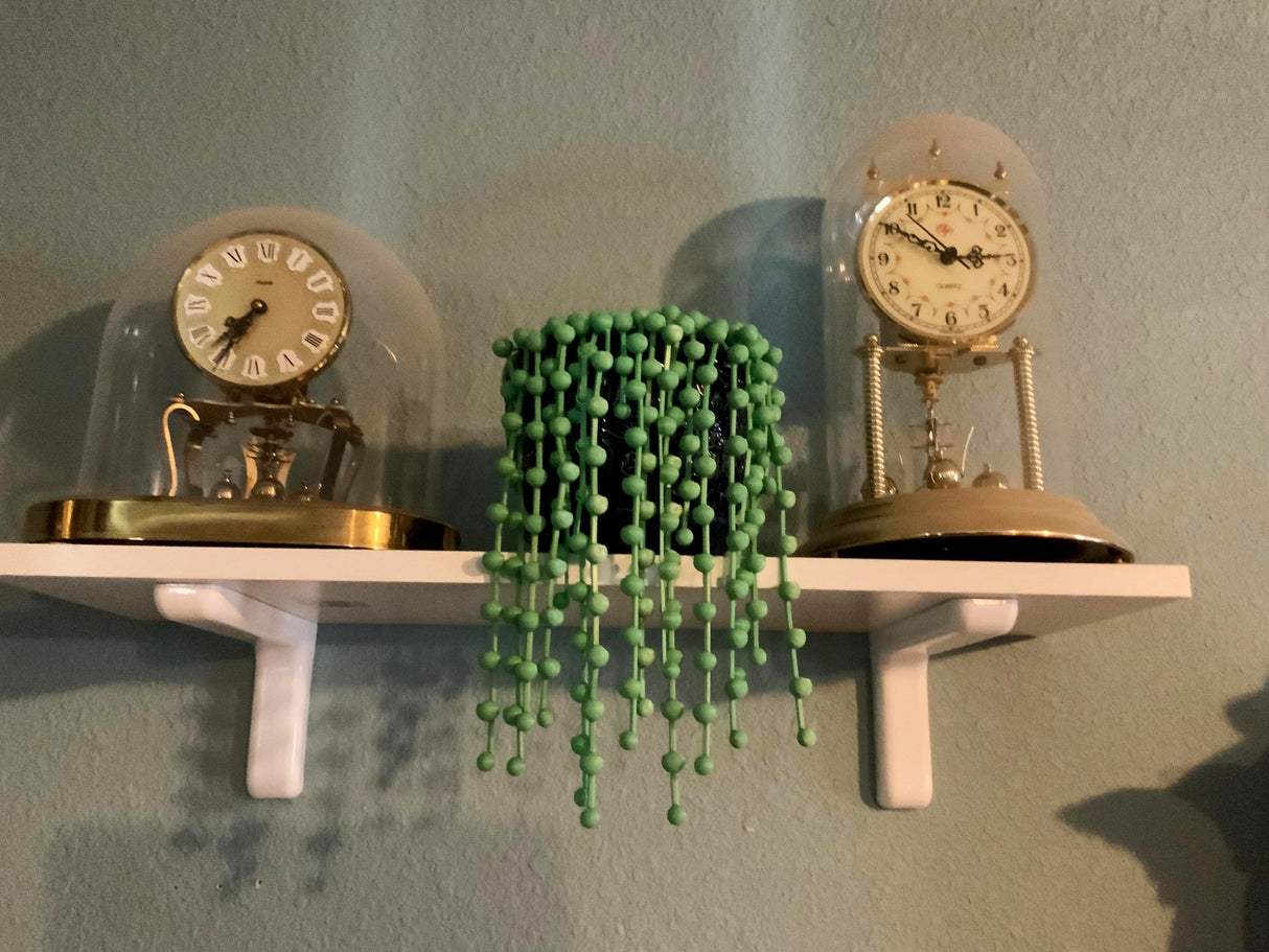 3D printed String of Pearls plant decor displayed on a shelf alongside vintage clocks.
