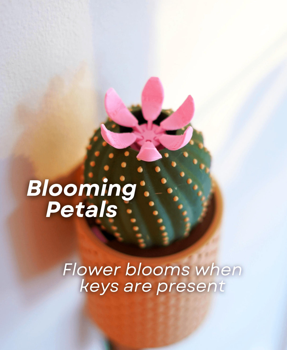 Blooming Wall Key Holder featuring green cactus with pink petals that bloom when keys are added, stylish home decor.