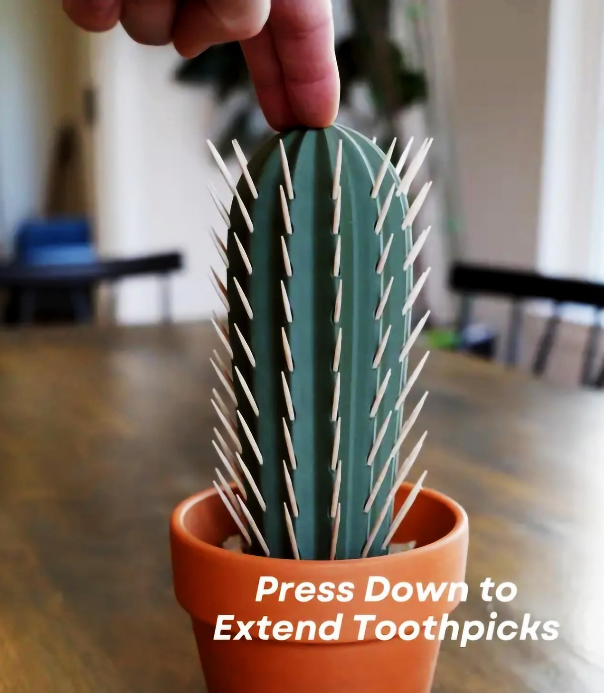 Unique cactus toothpick holder with extended toothpicks, perfect for parties and kitchen decor.