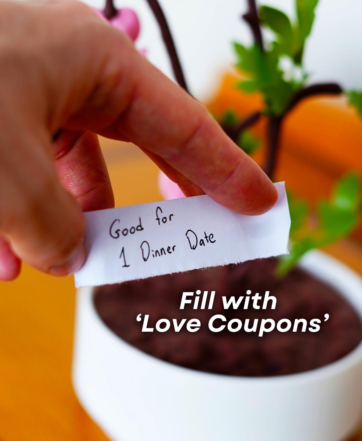 Hand holding a 'love coupon' for a dinner date near a blooming plant decor in a jewelry box.