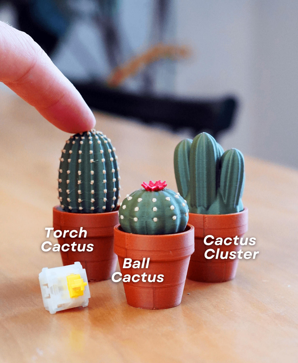 Mini mechanical Clicky Cacti in pots, including Torch Cactus, Ball Cactus, and Cactus Cluster, perfect fidget toys.