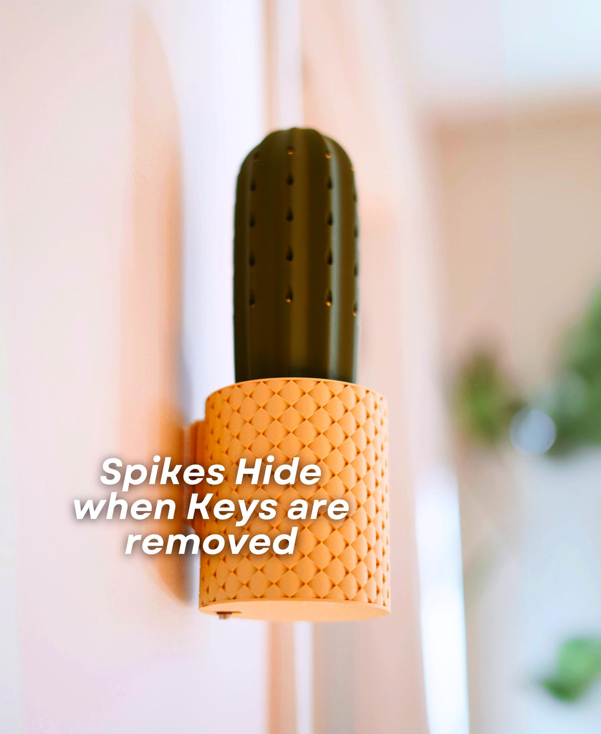SpiKey cactus key holder with spikes hidden, showcasing innovative design for key storage.