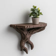 Tree branch wall shelf with plant, rustic 3D printed floating shelf for nature-inspired home decor.