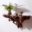 Tree root wall shelf displaying plants and decor, showcasing rustic earthy design and 3D printed organic appeal.
