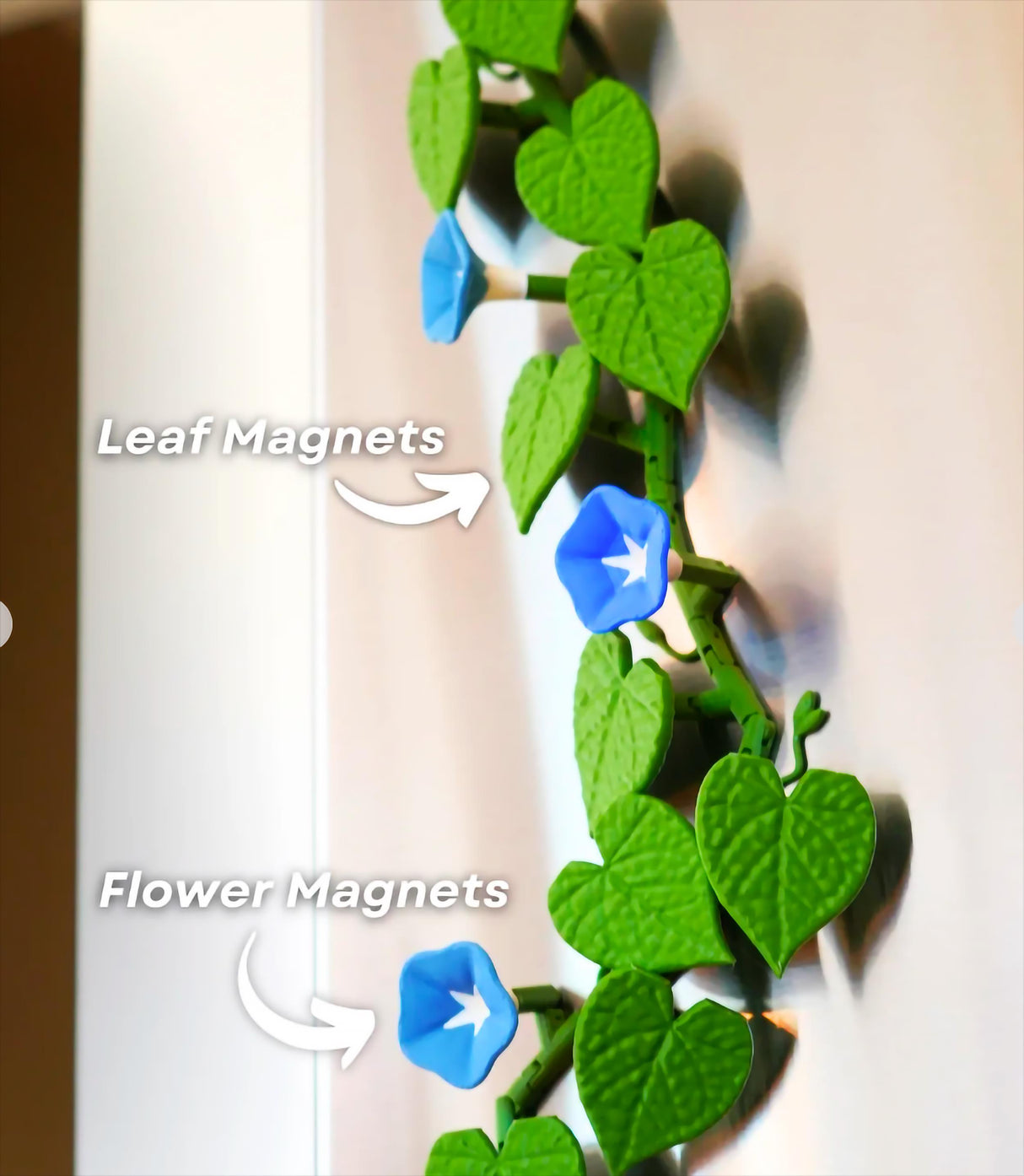 Morning Glory fridge magnets featuring vibrant leaf and flower designs, perfect for customizable kitchen decor.