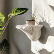 3D printed mushroom wall shelf with plant, modern organic decor, showcasing flowing lines and natural style.