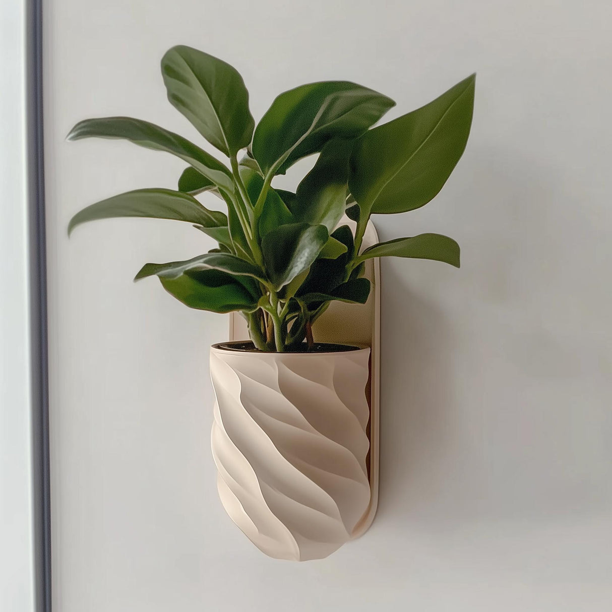 Wall Mounted Planter | 3D Printed Indoor Plant Pot | Vertical Garden Decor