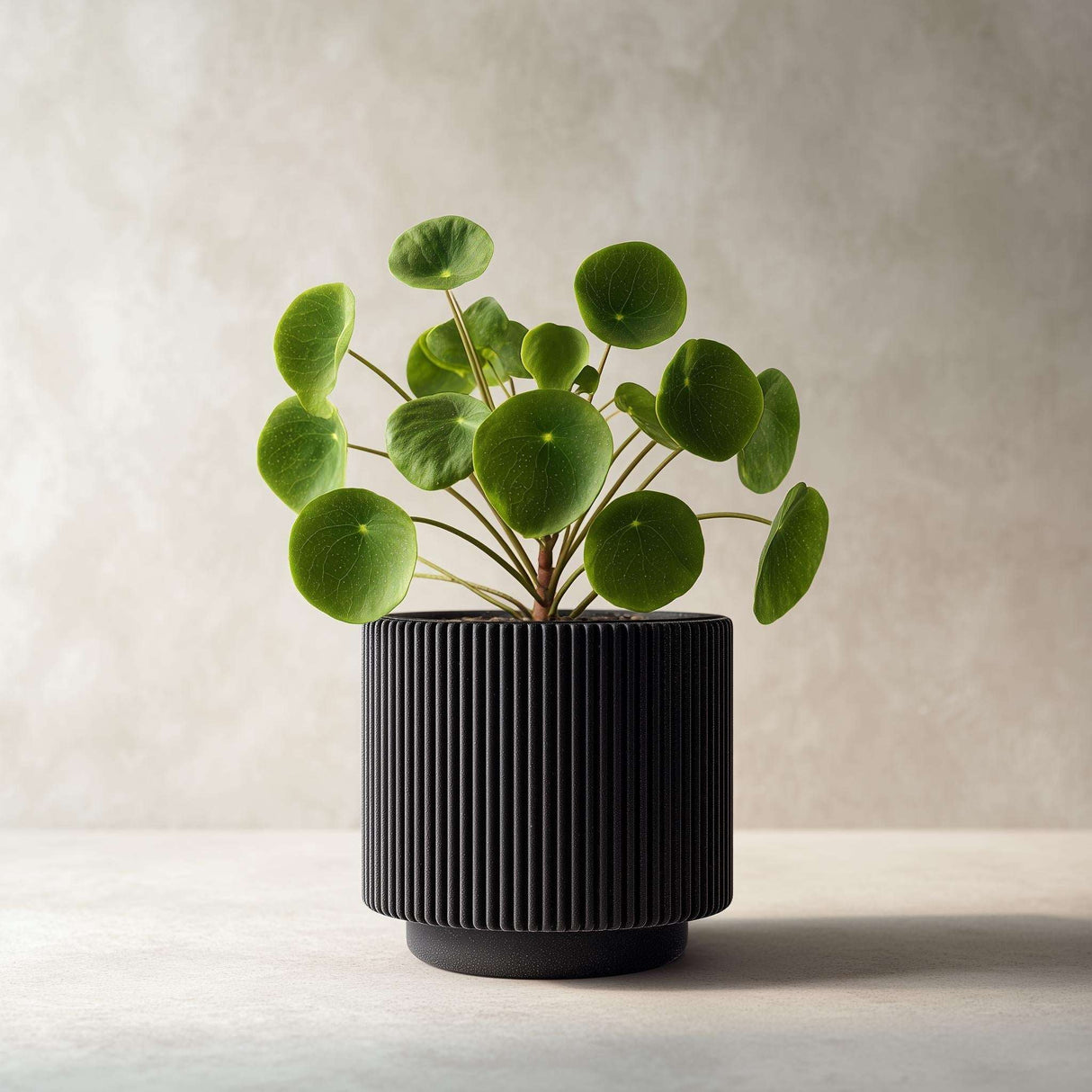 Black cylindrical 3D printed planter with vertical ribbed grooves, shown with a green indoor plant for illustration; plant not included.