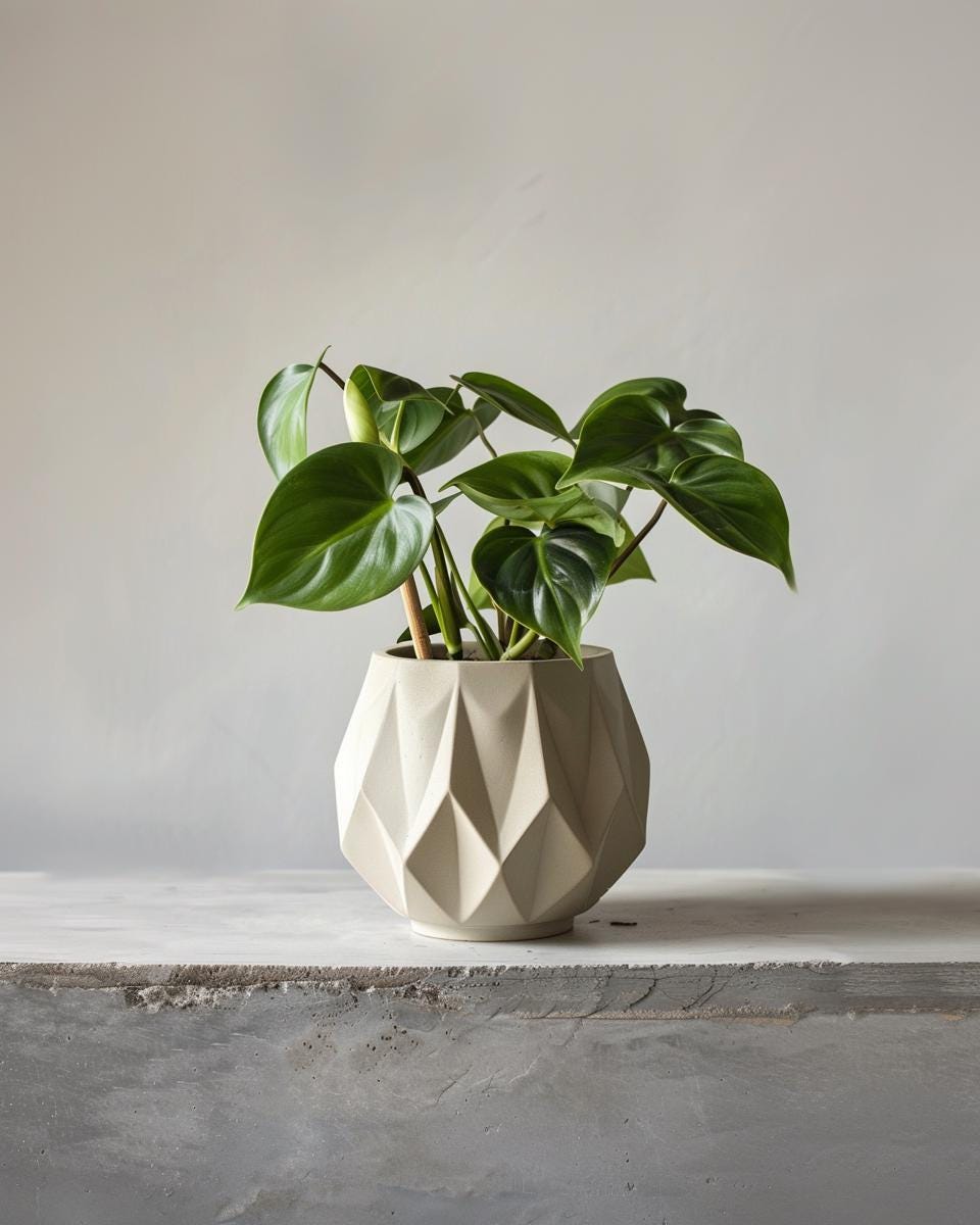 3D Printed Geometric Planter | Modern Faceted Plant Pot | Minimalist Indoor Planter