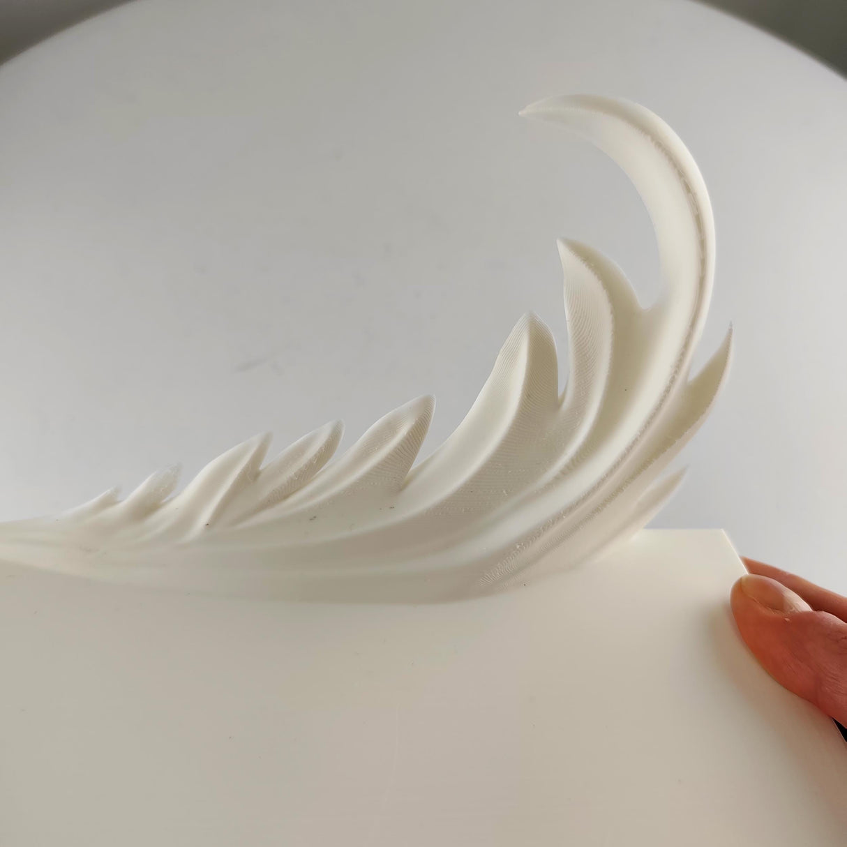 3D Printed Feather Wall Shelf | Sculptural Floating Display Ledge | Minimal Modern Wall Decor Accent for Contemporary Stylish Home Interiors