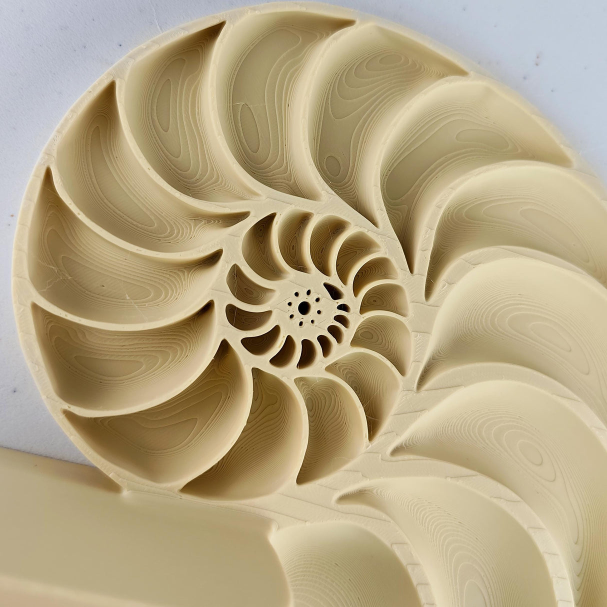 Nautilus Wall Shelf | Spiral Floating Shelfs | 3D Printed Geometric Wall Art