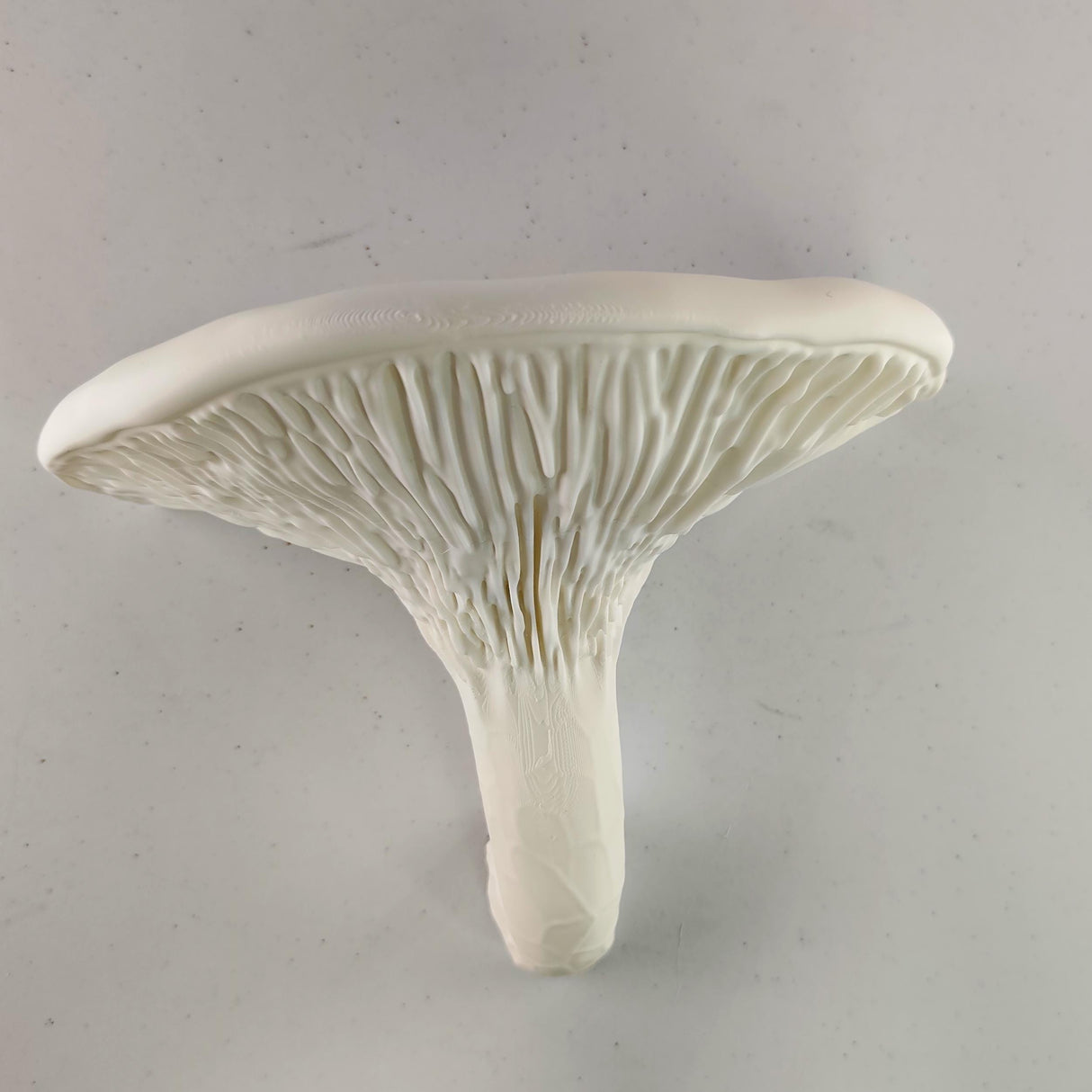 3D Printed Mushroom Shelf | Floating Wall Shelf | Organic Decor Nature Inspired Home Accent