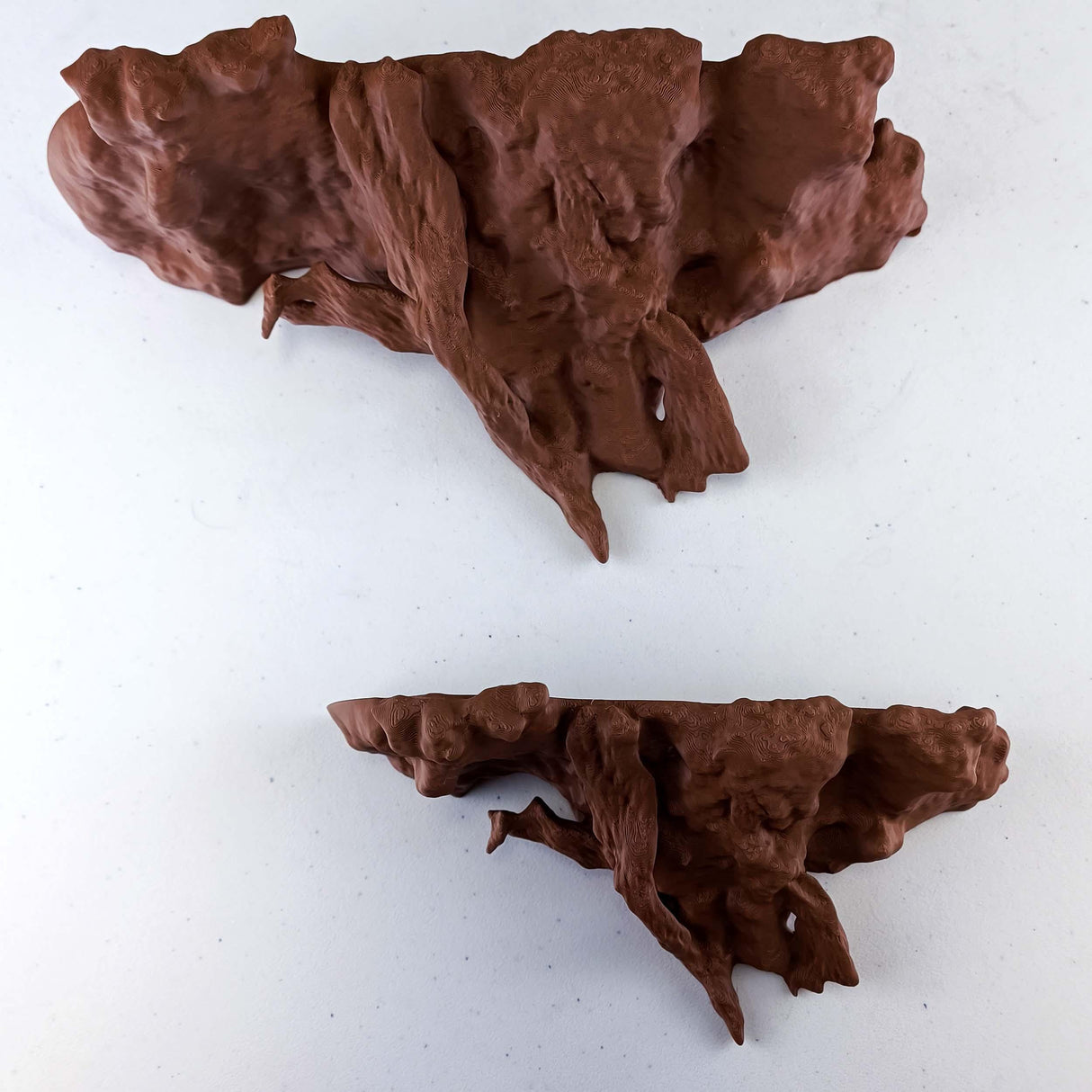 Tree Root Wall Shelf | Floating Shelf for Plants | 3D Printed Organic Wall Decor