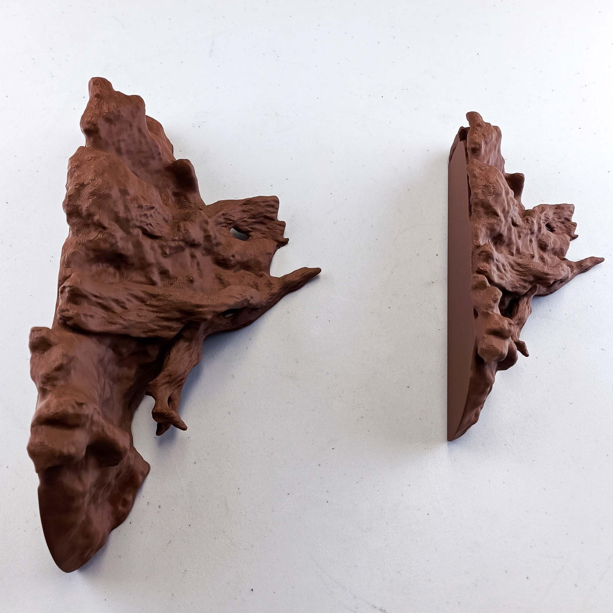 Tree Root Wall Shelf | Floating Shelf for Plants | 3D Printed Organic Wall Decor