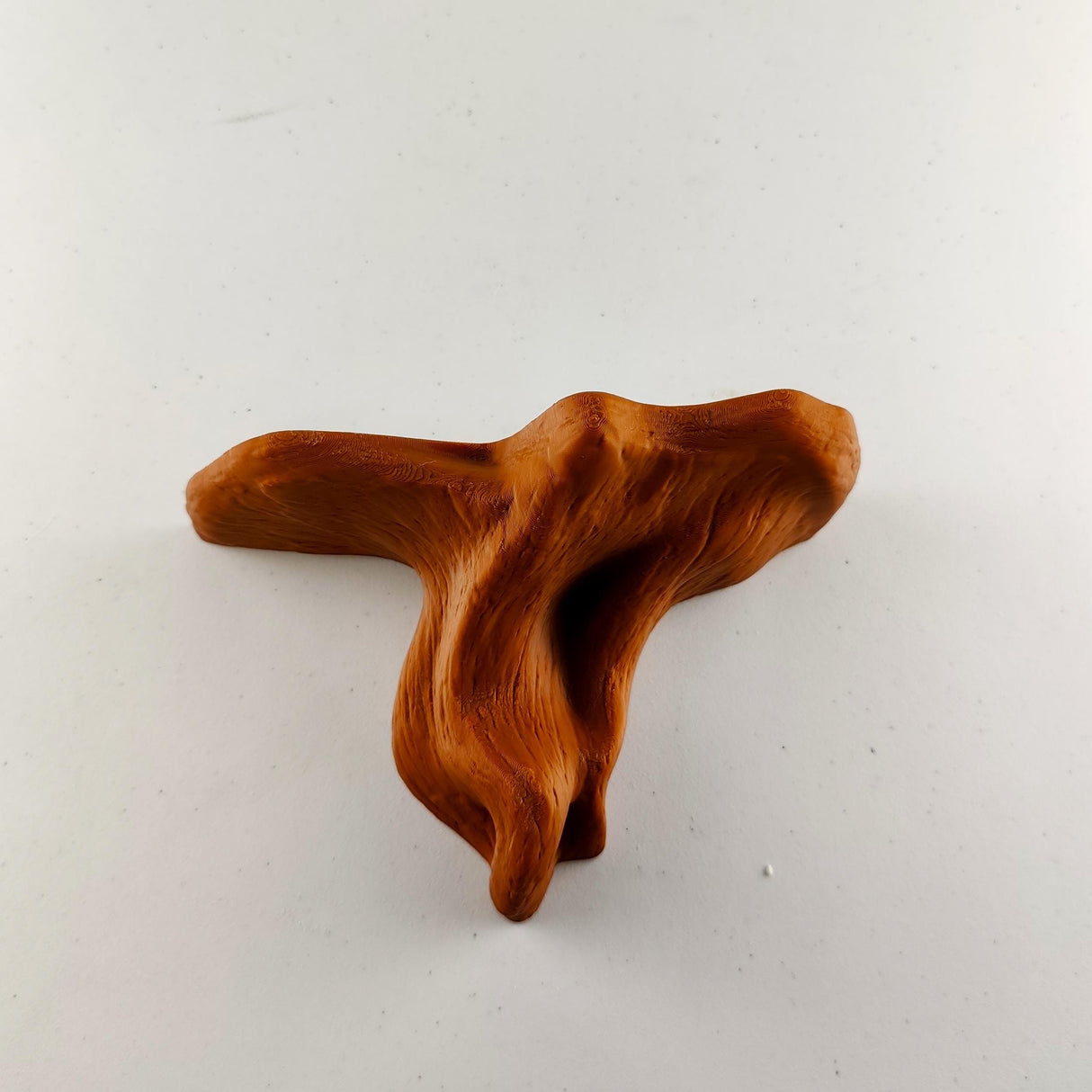 Tree Root Wall Shelf | Organic 3D Printed Shelf | Nature Inspired Floating Ledge