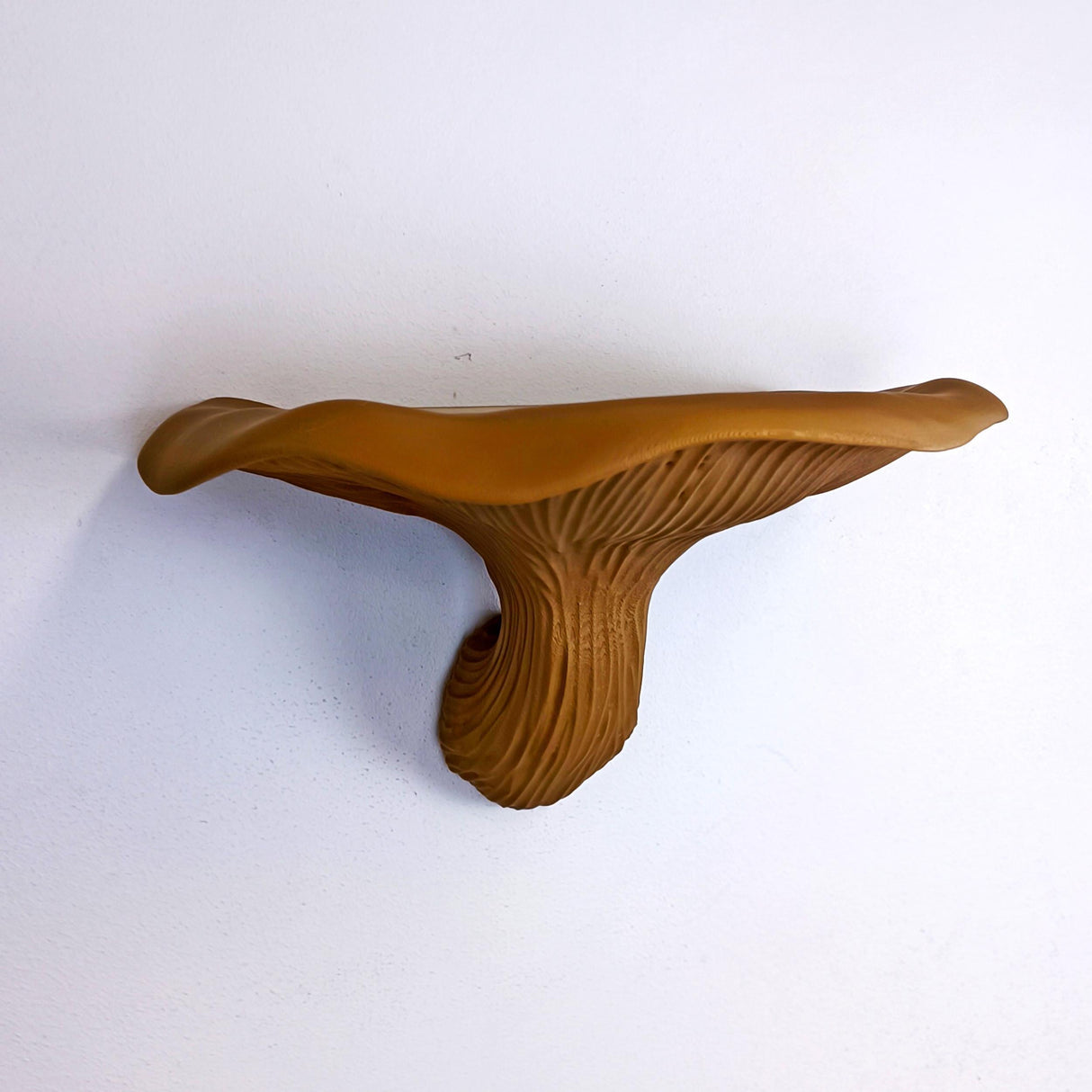 Fungi Floating Wall Shelf | 3D Printed Mushroom Organic Wall Decor | Nature Inspired Home Accent Modern Wall Mounted Shelf
