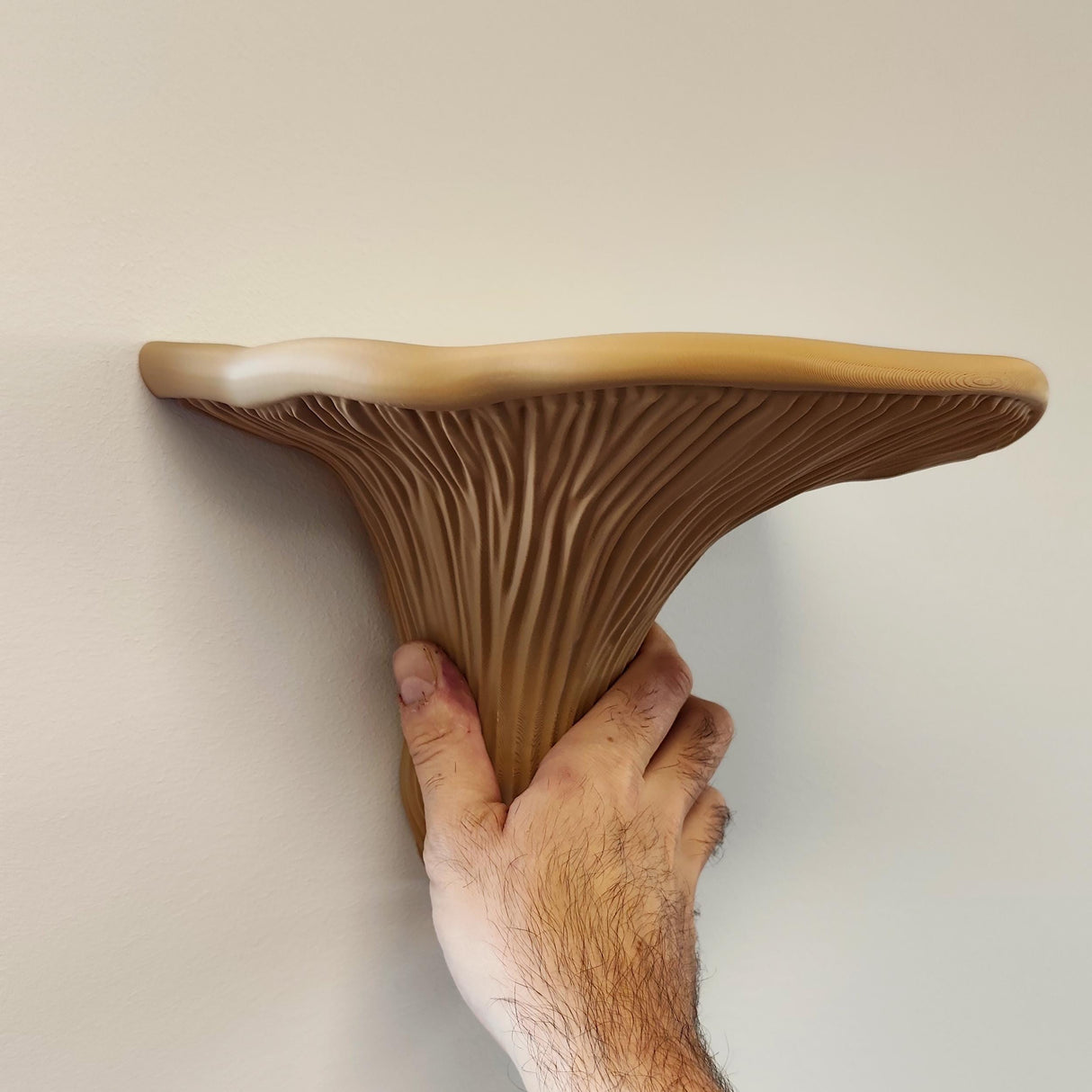 3D Printed Mushroom Shelf | Floating Wall Shelf Organic Wall Decor | Nature Home Accent Modern Wall Mounted Shelf | Unique Fungi Decor