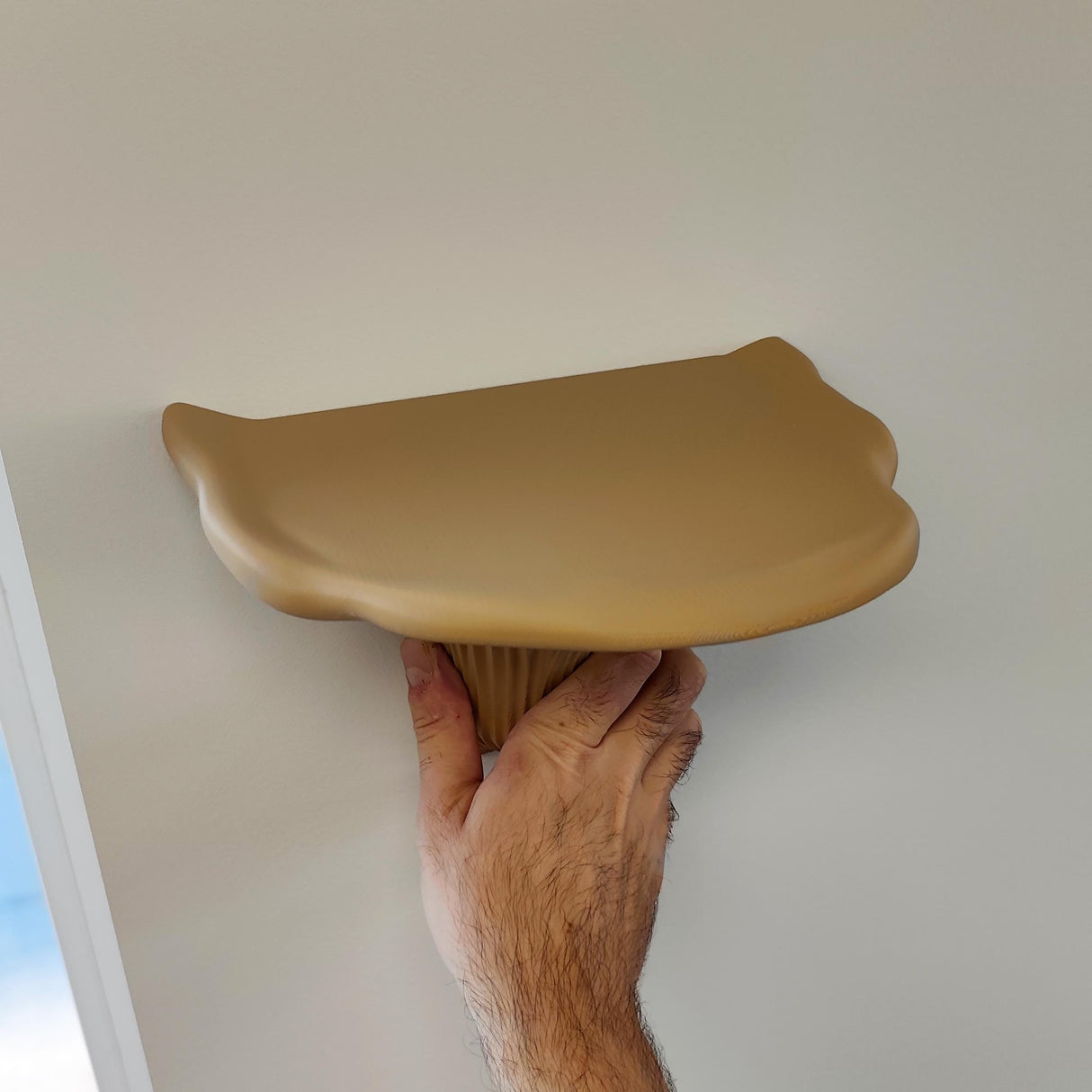 3D Printed Mushroom Shelf | Floating Wall Shelf Organic Wall Decor | Nature Home Accent Modern Wall Mounted Shelf | Unique Fungi Decor