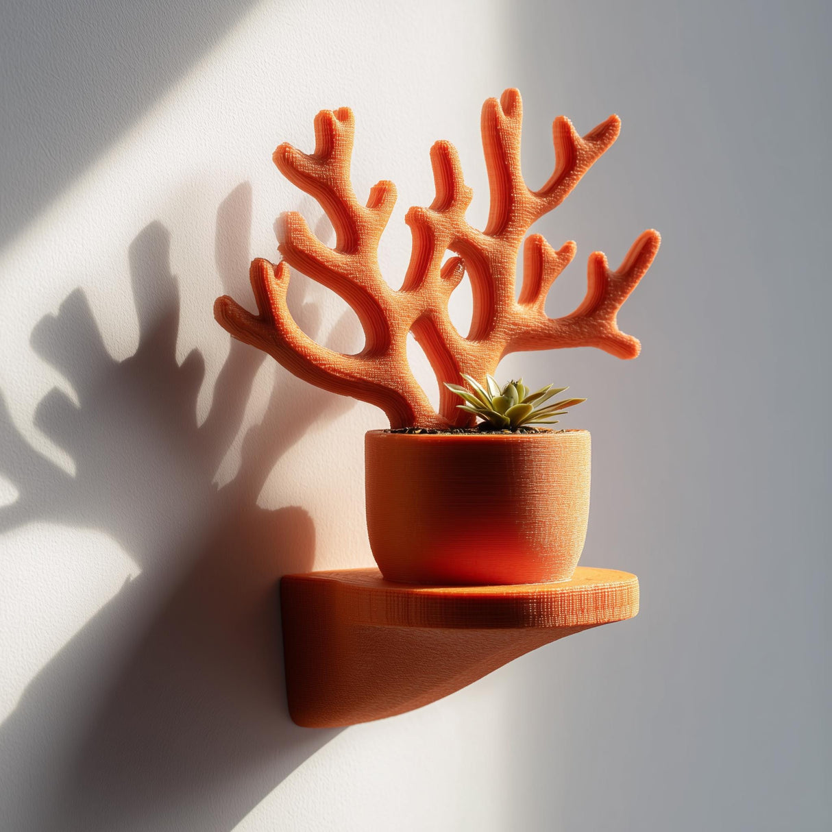 Wall-mounted 3D printed planter shelf featuring a coral-inspired branching sculpture with a small pot and succulent, designed as organic wall decor.