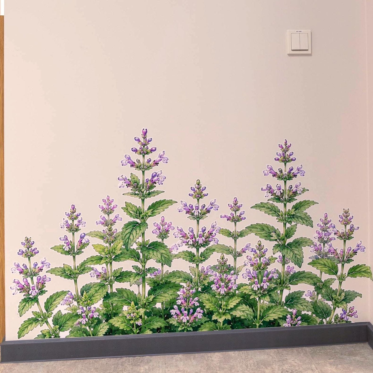 Melissa Wall Vinyl Decal | Lemon Balm Herb Sticker | Watercolor Botanical Plant Wall Art | Kitchen Garden Decor | Herbal Greenery
