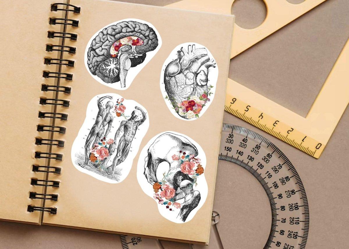 Medical anatomy decals featuring brain, heart, and human figures with floral designs on a notebook.