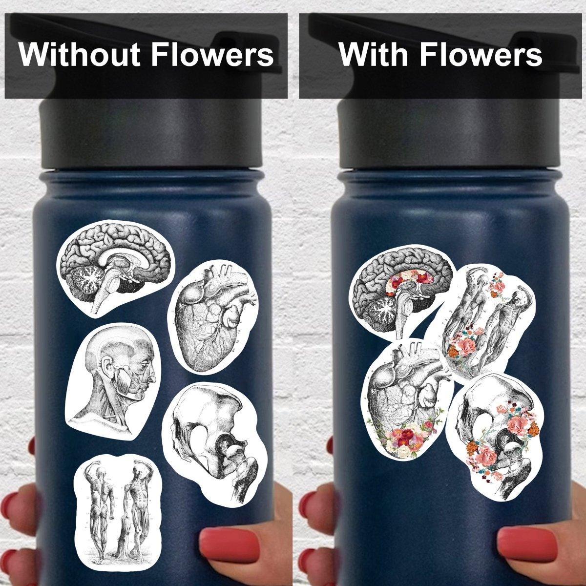 Vinyl anatomy decals on a Hydroflask, shown with and without floral designs for a stylish look.