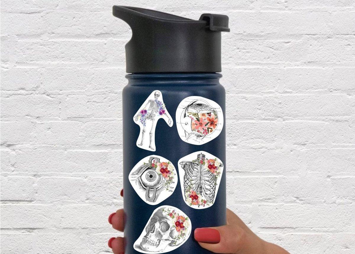 Anatomy laptop stickers on a water bottle, featuring floral designs and detailed human body illustrations.