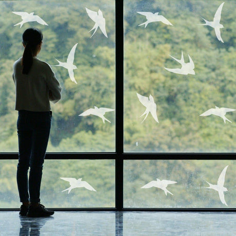 Woman admiring bird silhouette window decals designed for bird strike protection and aesthetic enhancement.