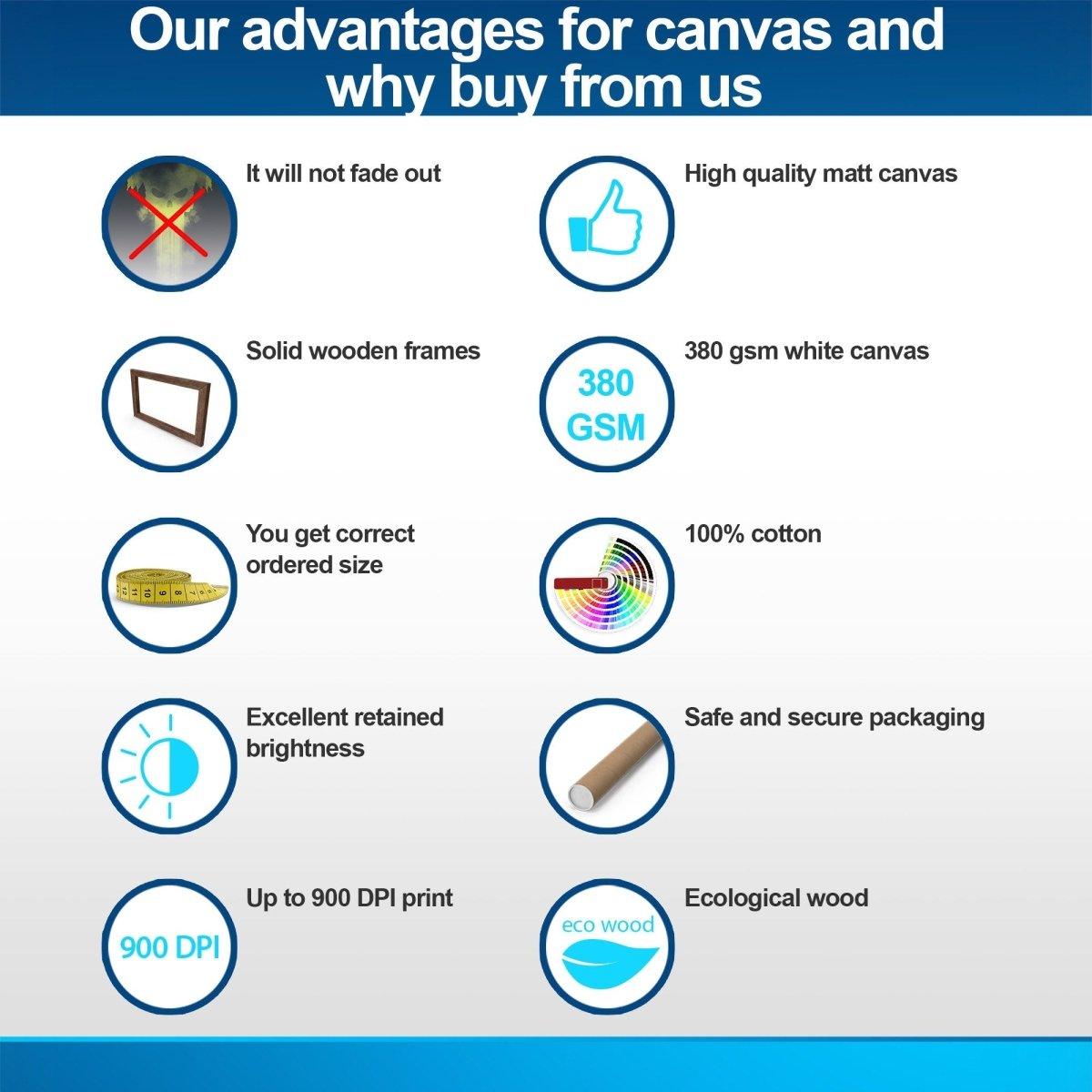 Infographic highlighting advantages of our canvas artwork, including quality, materials, and printing specifications.