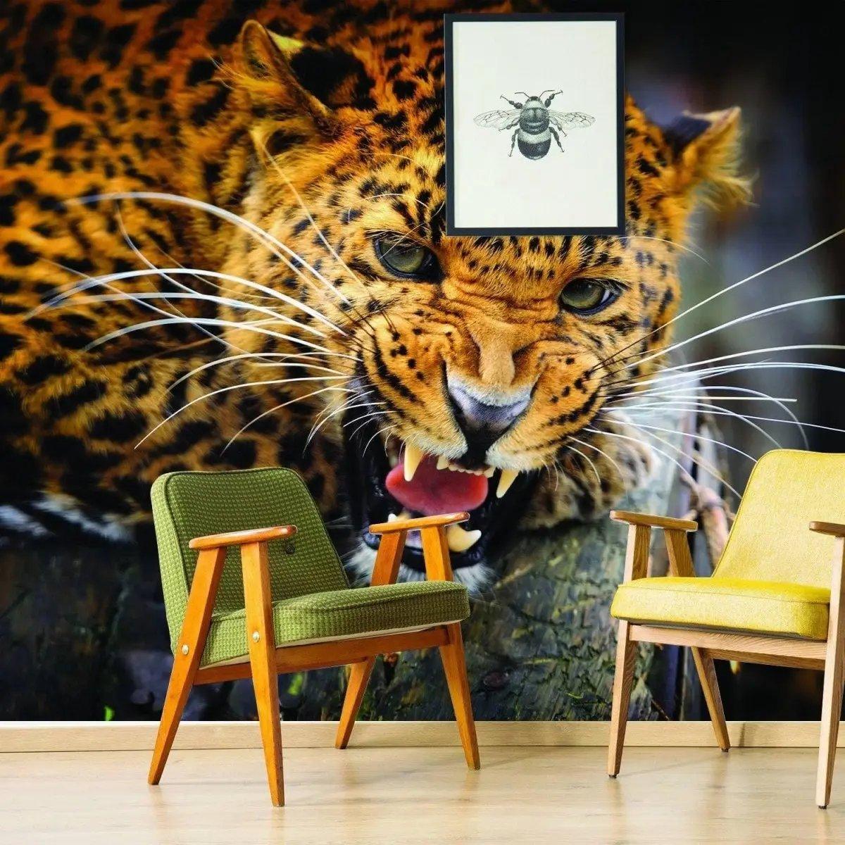 Chic cat vinyl wall decal featuring a fierce jaguar in a stylish living room setting with modern furniture.