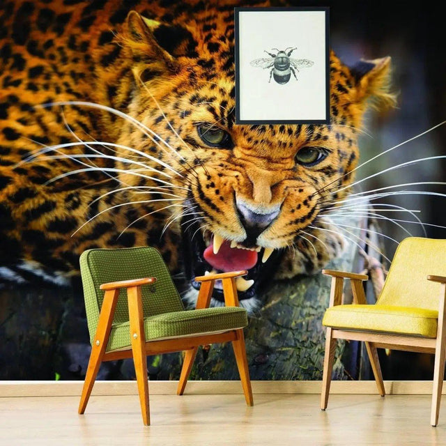 Chic cat vinyl wall decal featuring a fierce jaguar in a stylish living room setting with modern furniture.