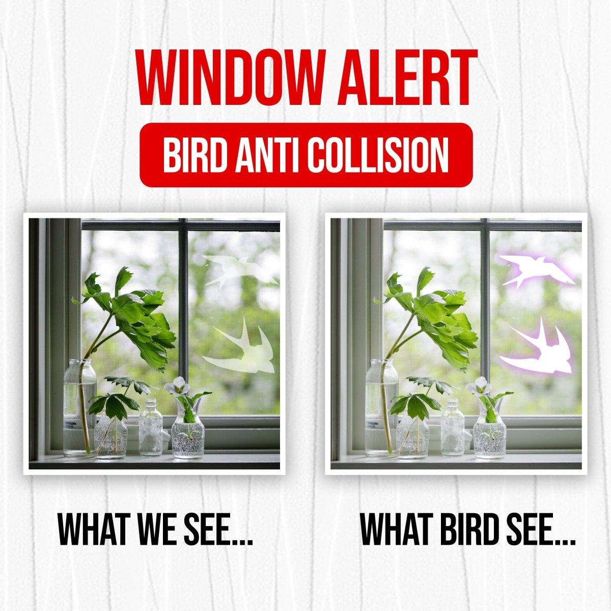 Window alert image showing bird anti-collision decals, illustrating visibility for humans and birds.