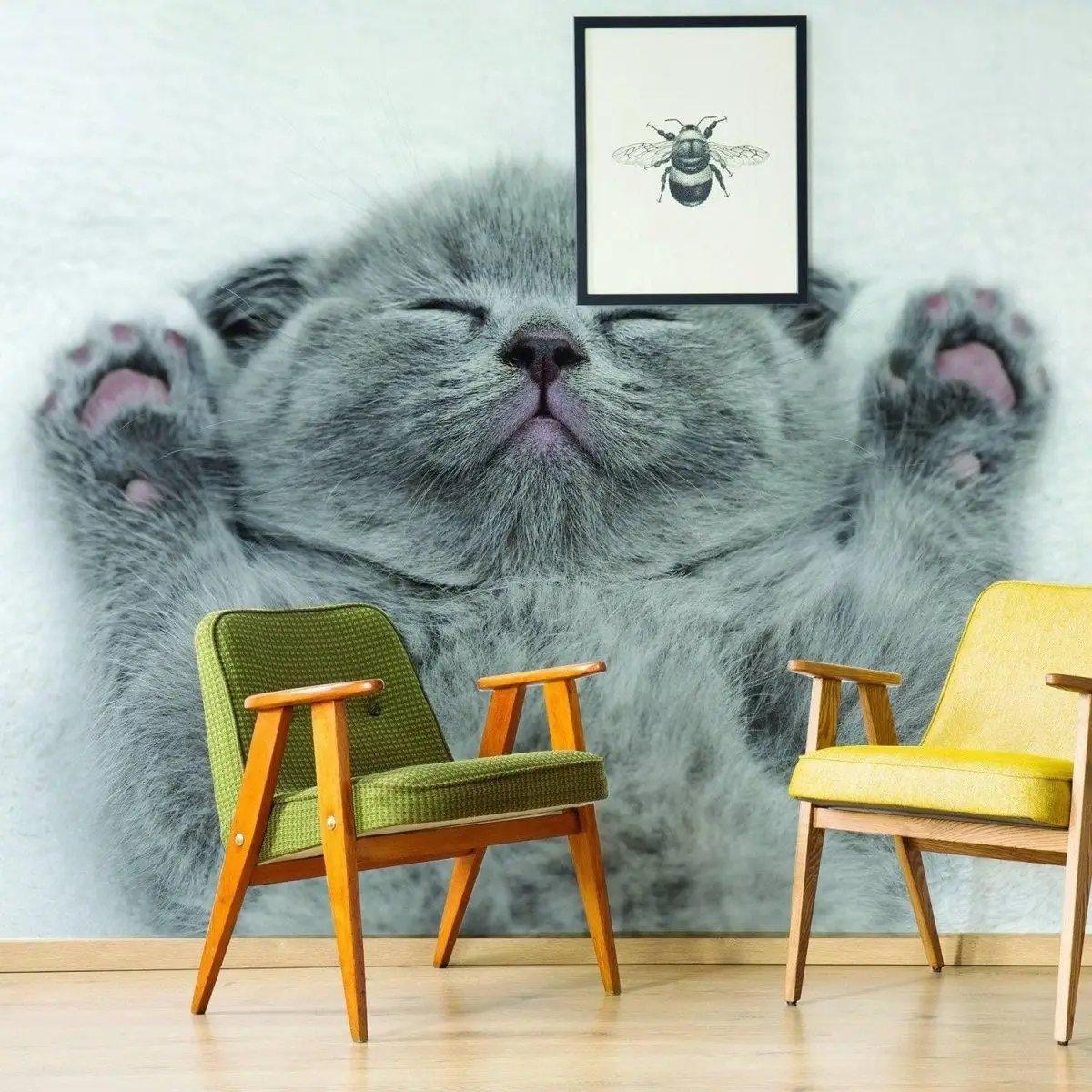 Gray kitten wall sticker in a cozy living room with two colorful chairs and a framed artwork.