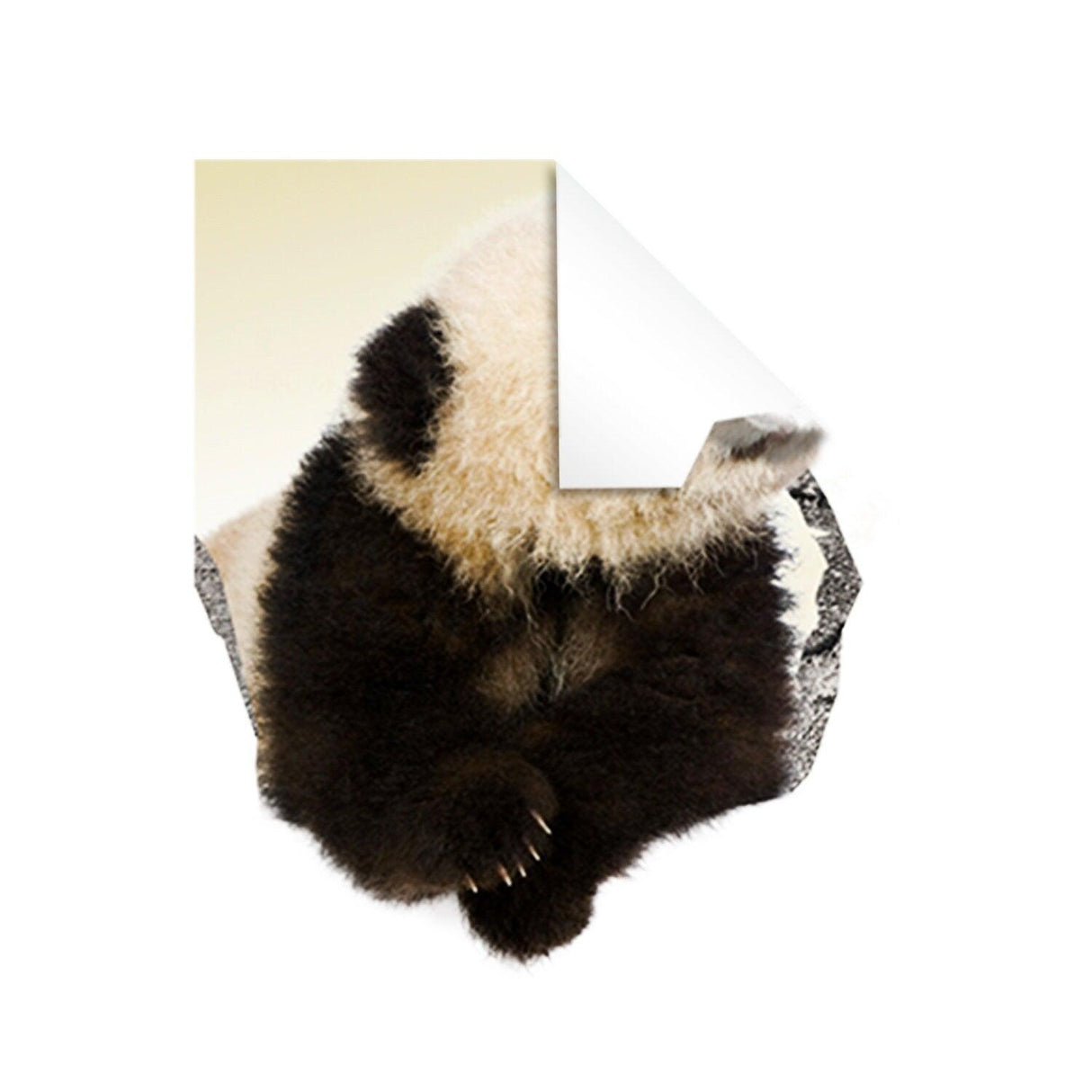 3D vinyl wall sticker of a panda bear, creating a broken wall illusion for creative home decor.