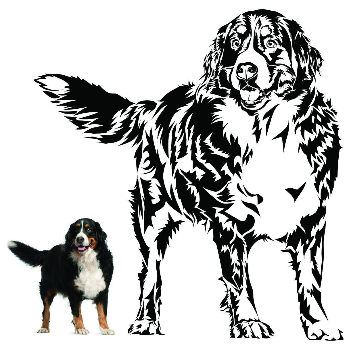 Custom wall decal of a dog featuring a large black and white design next to a real Bernese Mountain Dog.
