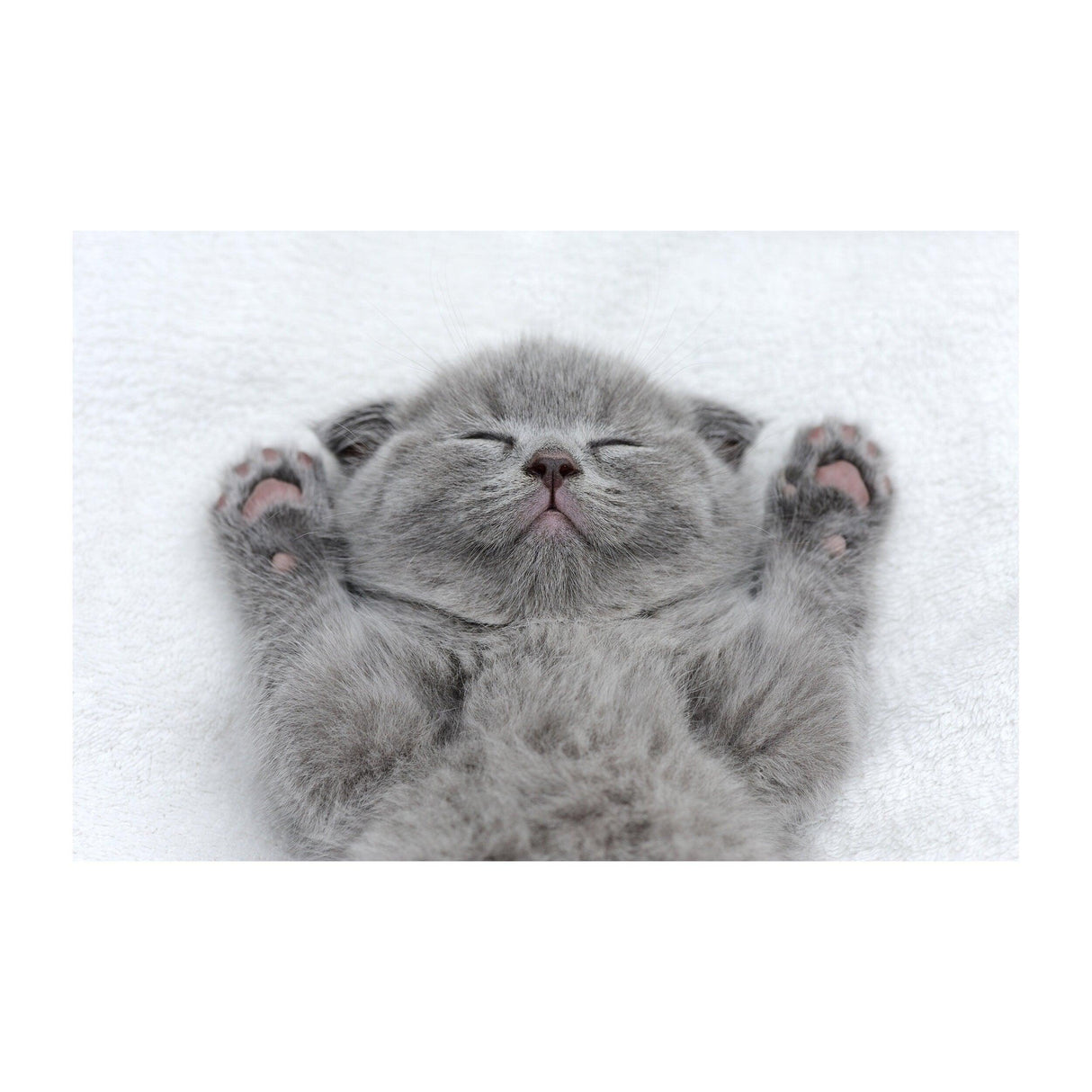 Gray kitten lying on a soft white surface with paws raised, showcasing its adorable features and playful nature.