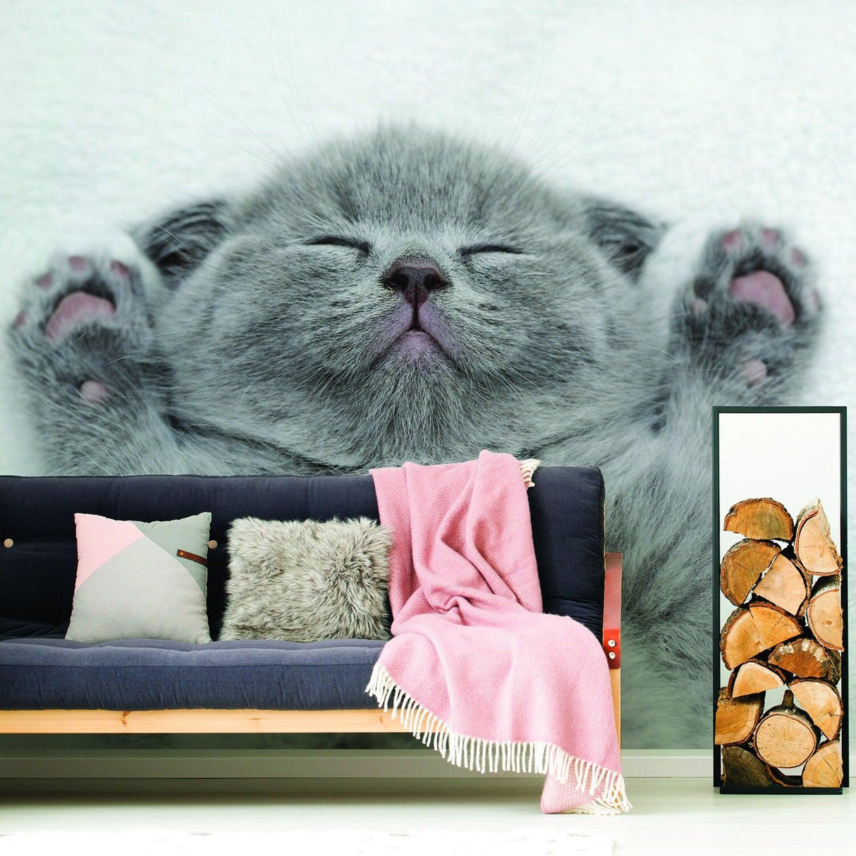 Sleepy gray kitten wall mural in cozy living room with couch and decor.