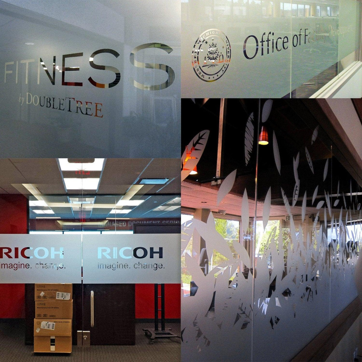Collage of custom frosted window film stickers on glass doors, showing various designs and brand logos.