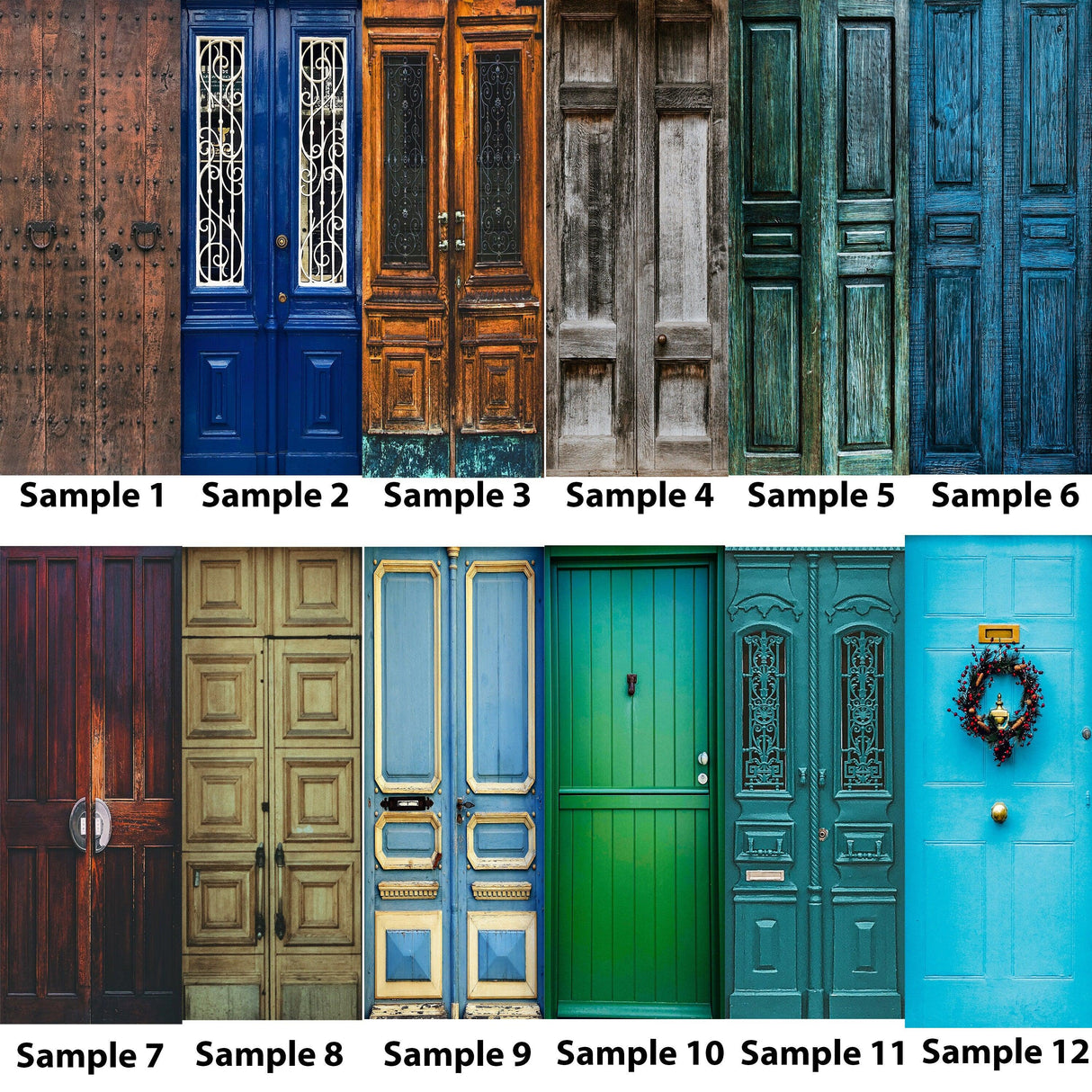 Collage of various door designs showcasing different colors and styles for inspiration on home decor.