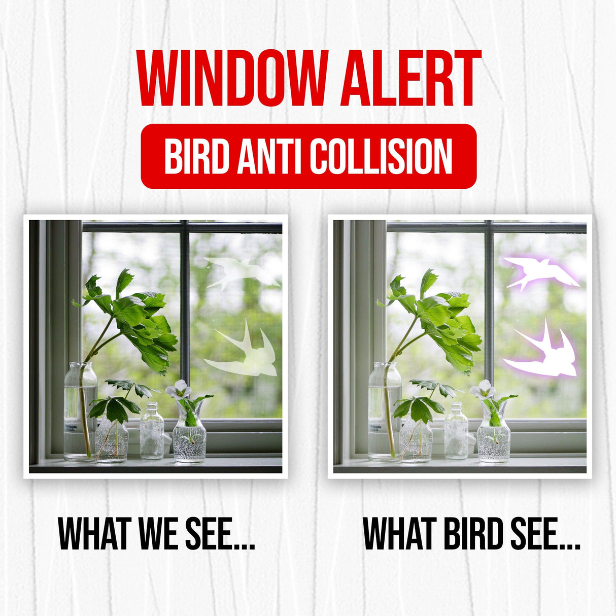 Window decal comparison showing bird anti-collision stickers; left side visibility for humans, right for birds.