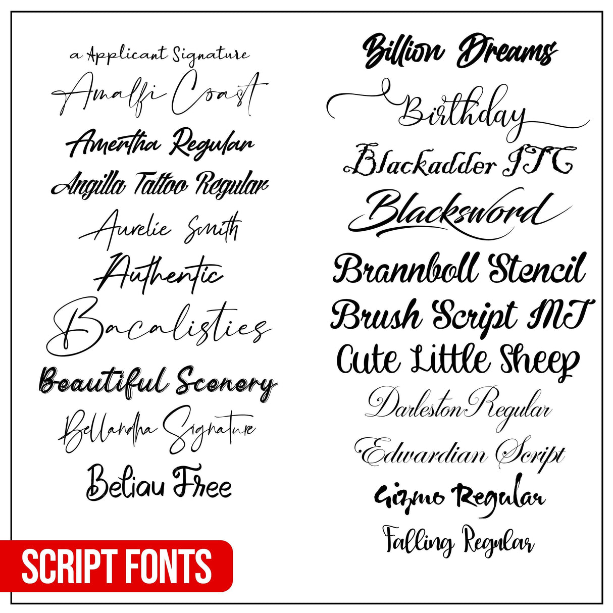 Sample of various script fonts featuring names and styles for design projects.