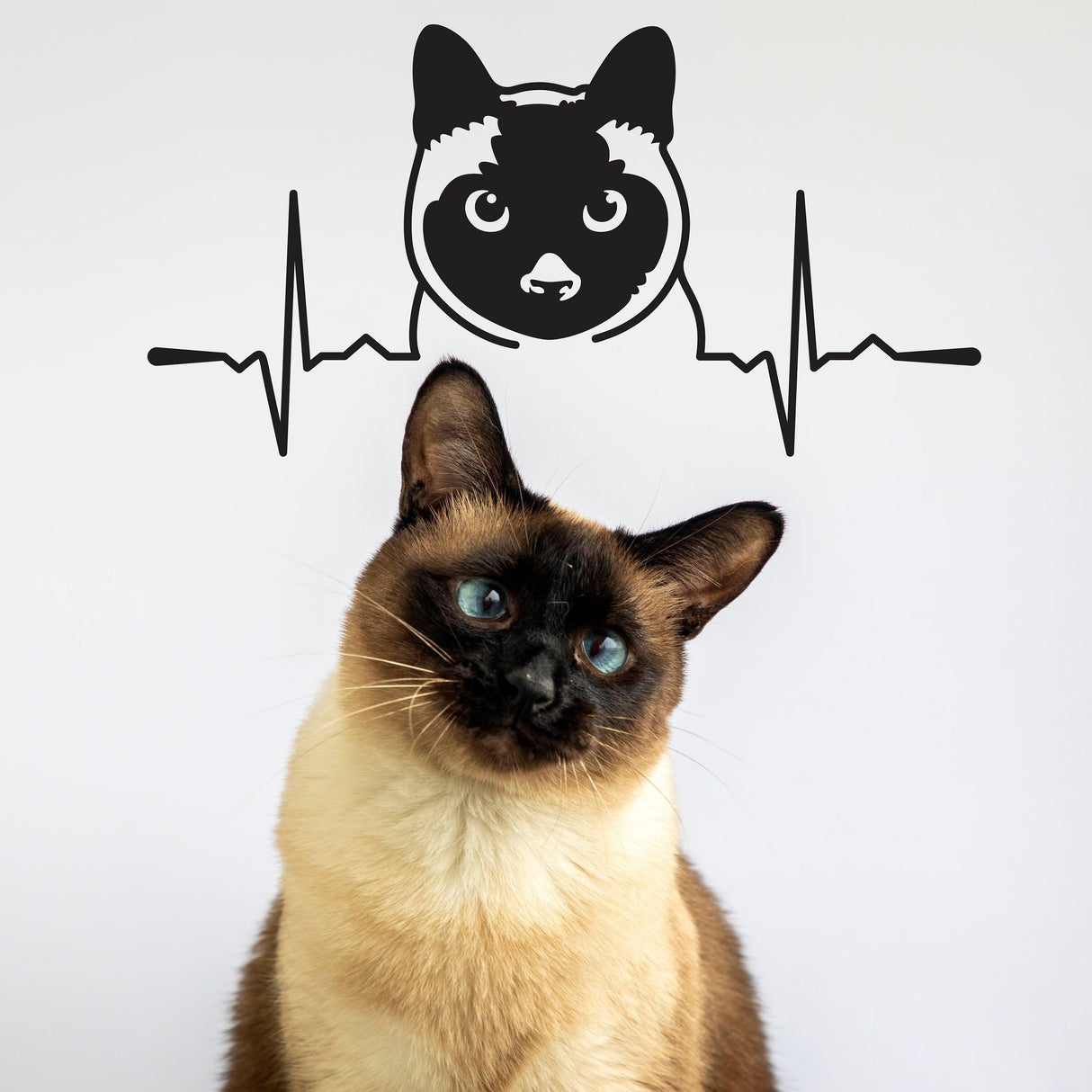 Siamese cat sticker with heartbeat design above a real Siamese cat, showcasing a cute and playful vibe.