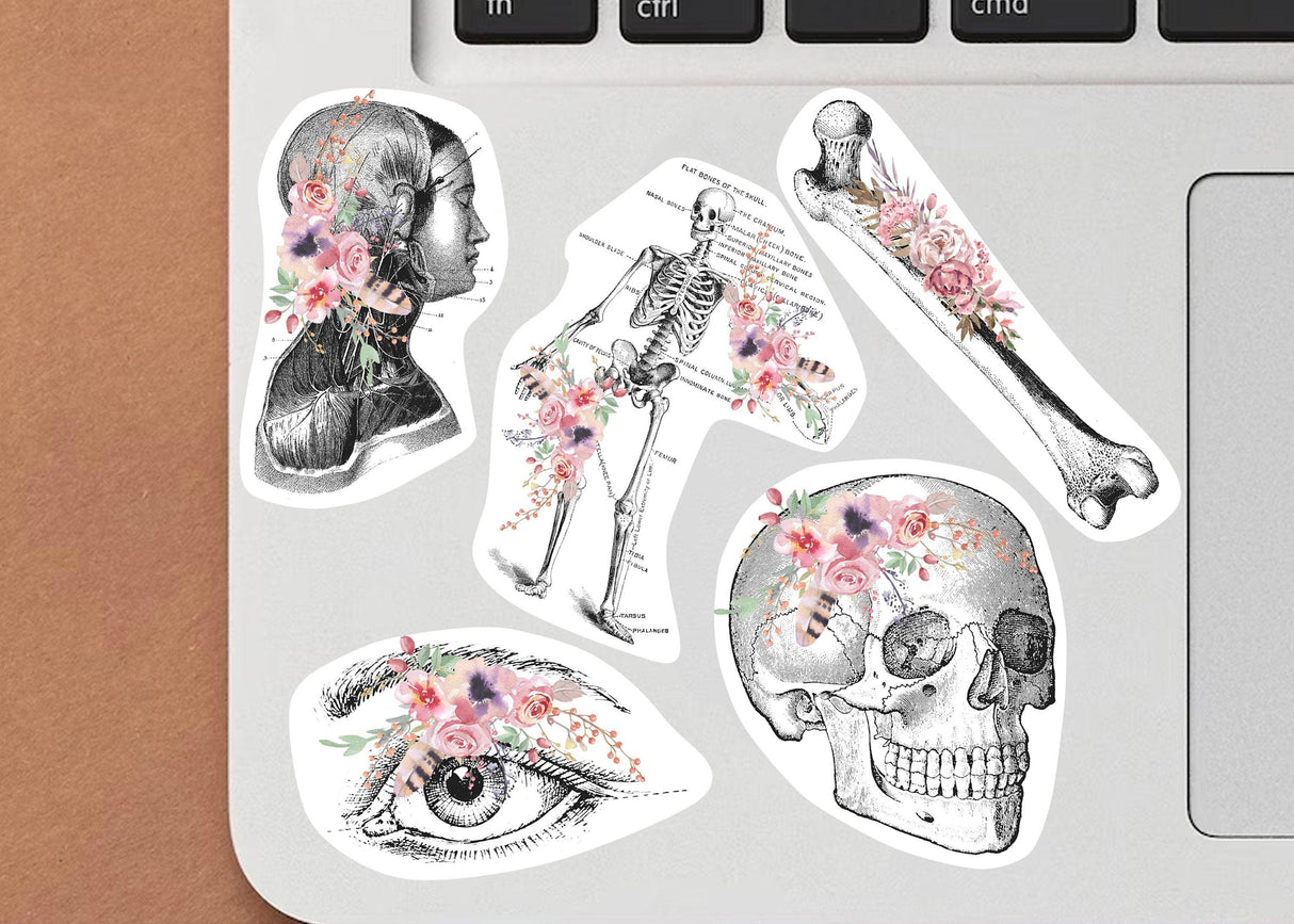Vibrant anatomy stickers featuring skull, skeleton, and floral designs on a laptop, perfect for science enthusiasts.