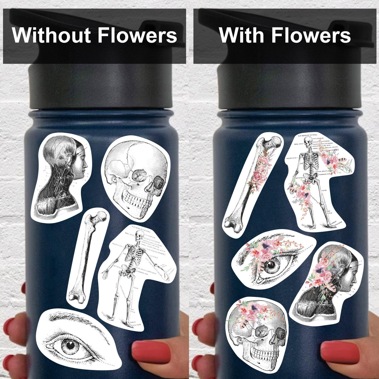 Anatomy sticker set featuring floral skull and skeleton designs on a water bottle, showcasing options with and without flowers.