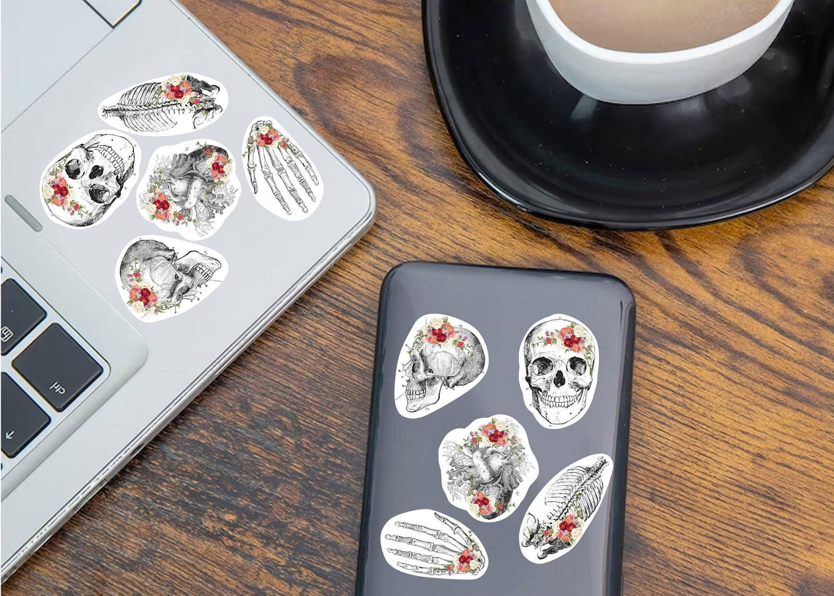 Anatomy skeleton decals on a laptop and phone, featuring skulls and flowers for medical school decor.