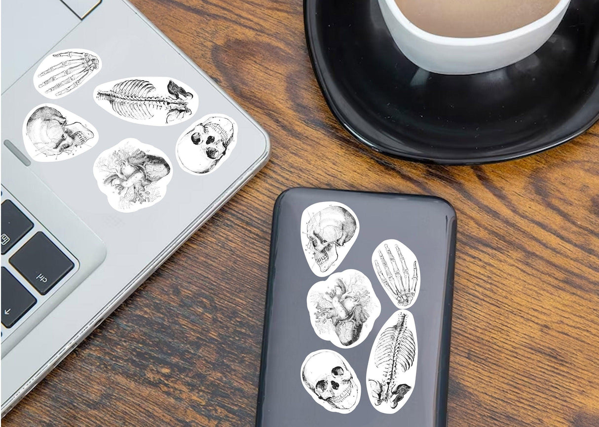 Anatomy skeleton decals on a laptop and phone, ideal for medical school decor and aspiring doctors.