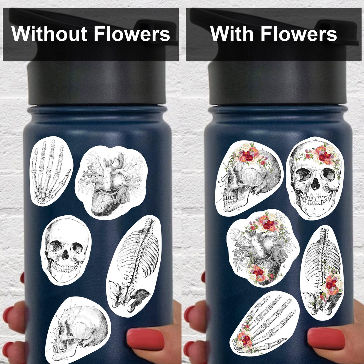 Anatomy skeleton decals on a water bottle, with and without floral designs, showcasing medical-themed decor.
