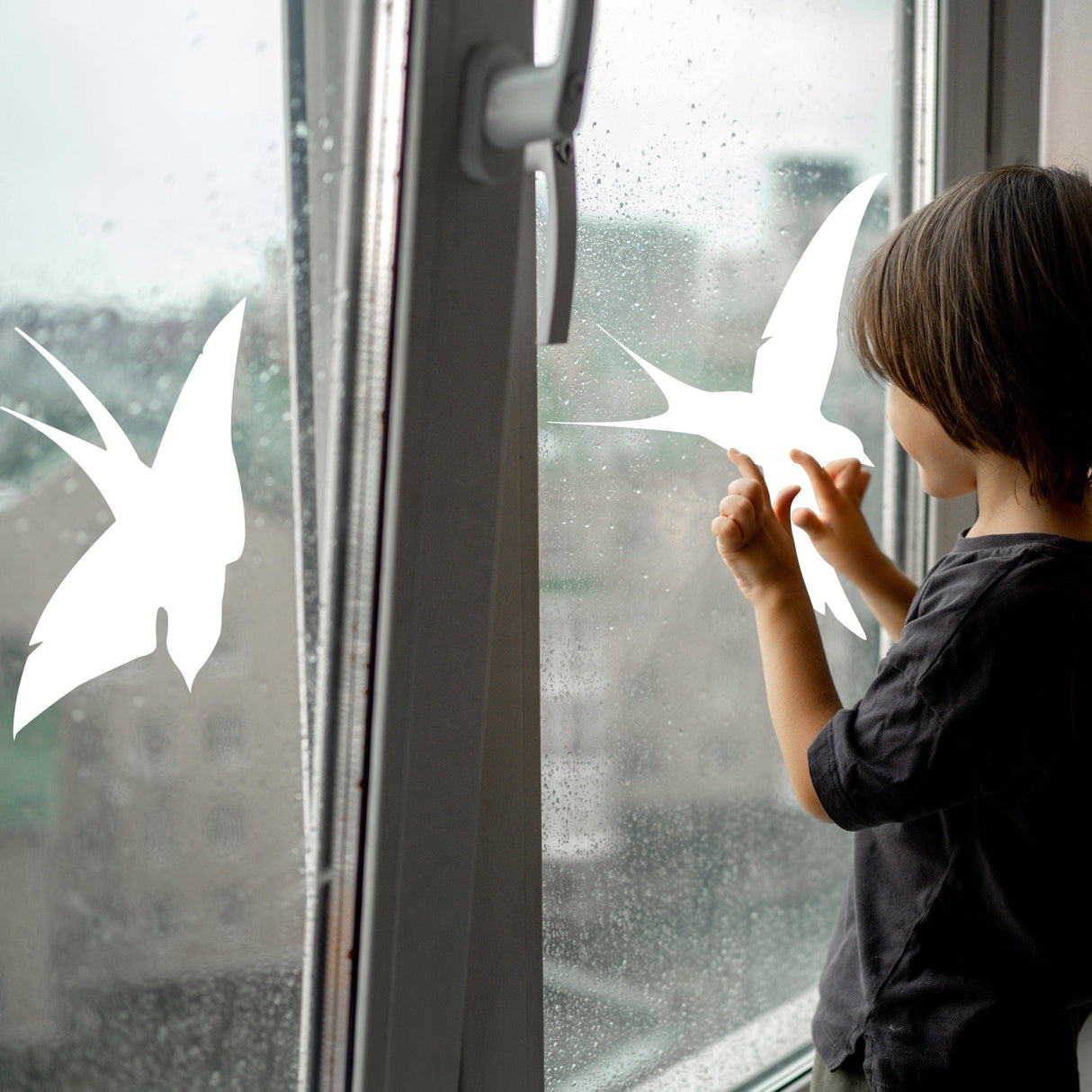 Child applying anti-collision bird decals on a rainy window to prevent bird strikes.